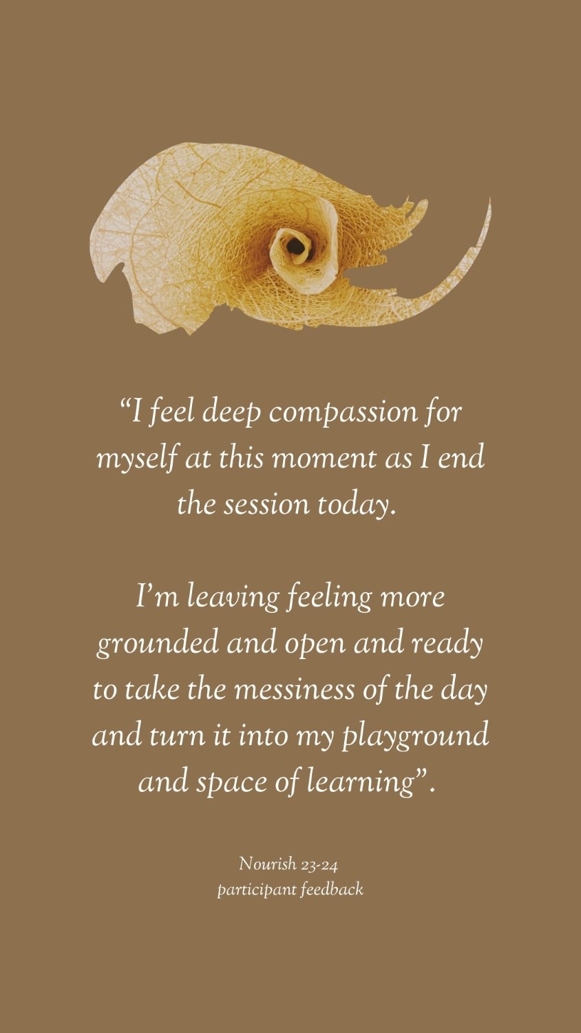 Nourish feedback2