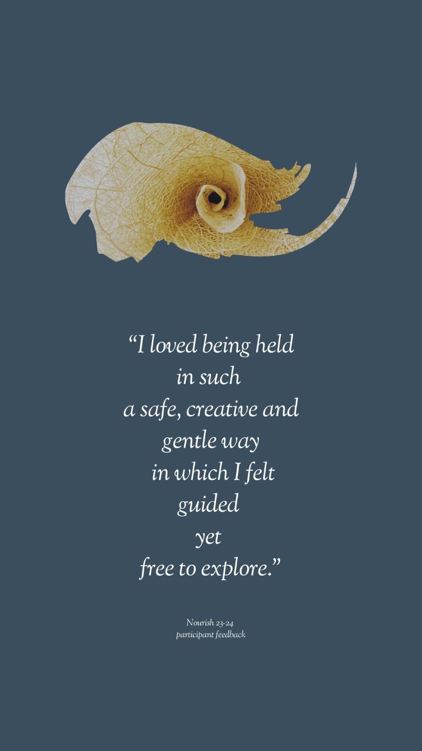 Nourish feedback1